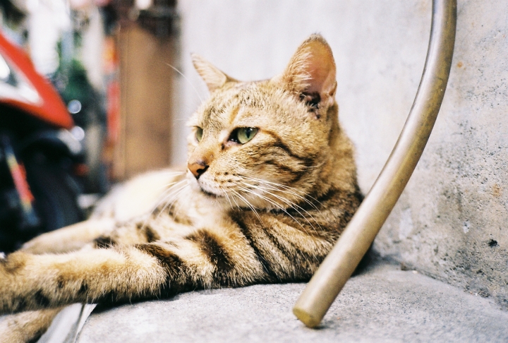 [Stylus ZOOM 140][Big Mini]颱風假[Kodak 200]