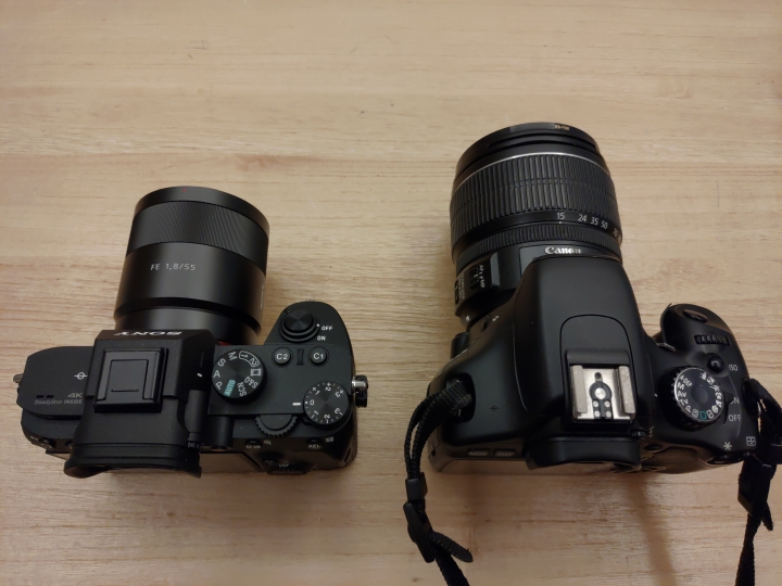 點我看大圖 《Sony α7III親子攝影》索向披靡,尼情我願