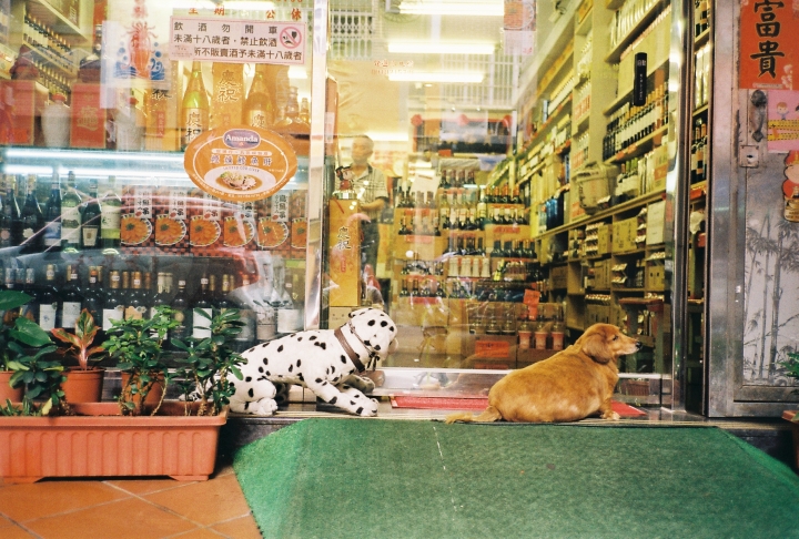 [Stylus ZOOM 140][Big Mini]颱風假[Kodak 200]