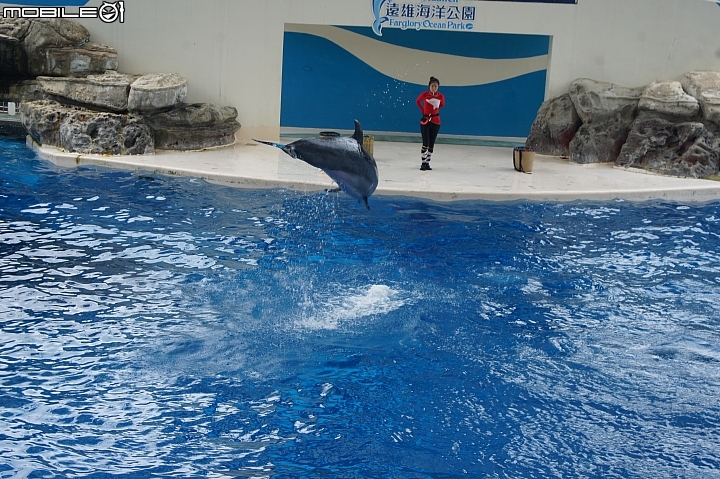 花蓮海洋公園