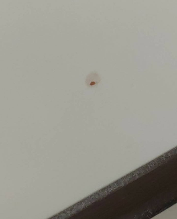 請問牆壁出現紅棕點該如何處理？