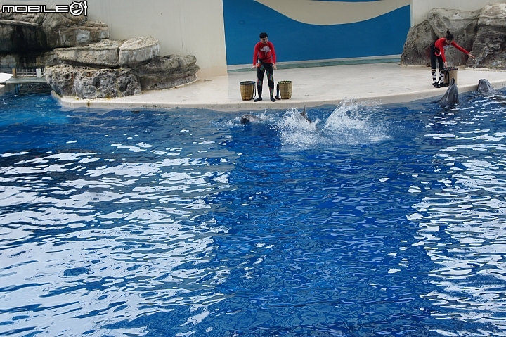 花蓮海洋公園