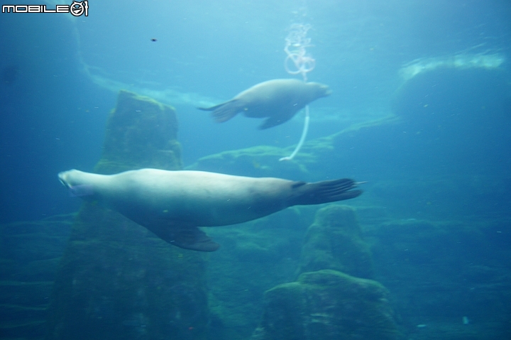 花蓮海洋公園