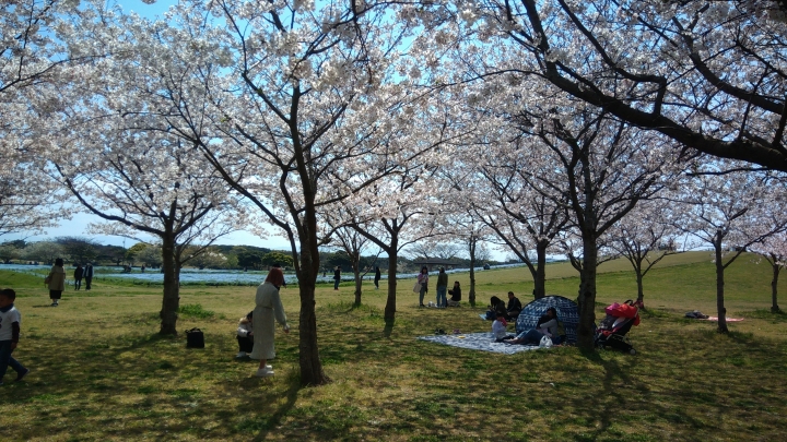 [心得建議] 出國旅遊行程安排&鞋子要慎選 (特別是風景、逛街、親子行程!)