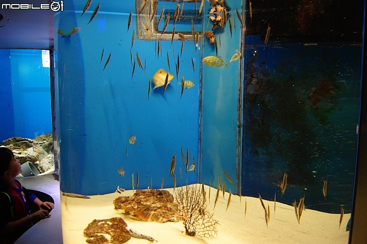 花蓮海洋公園