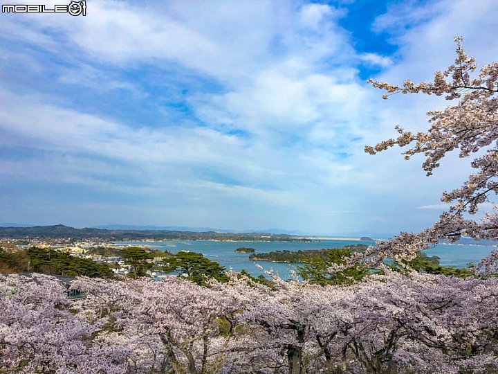 點我看大圖 日本東北 大啖牡蠣、牛舌、海膽!日本三景松島、世界遺產平泉 就靠巴士~仙台松島平泉花卷線