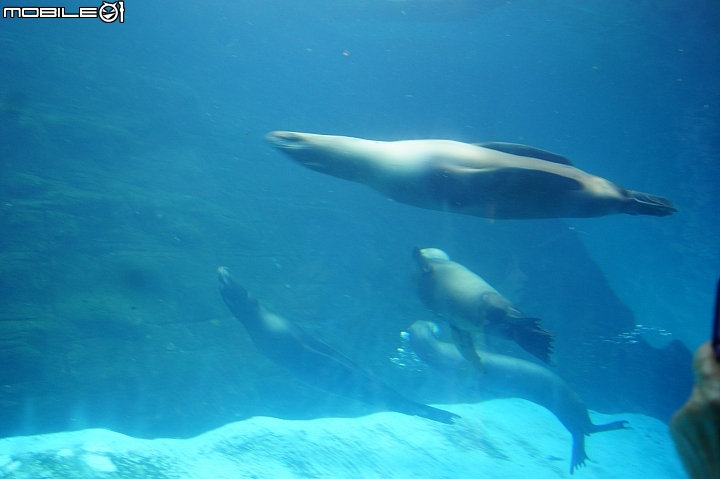 花蓮海洋公園