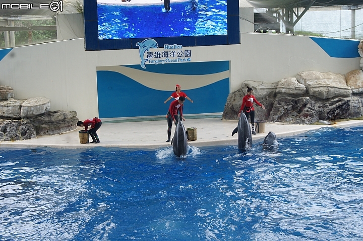 花蓮海洋公園