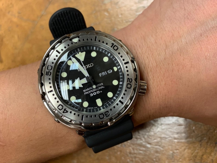 罐頭魚入手