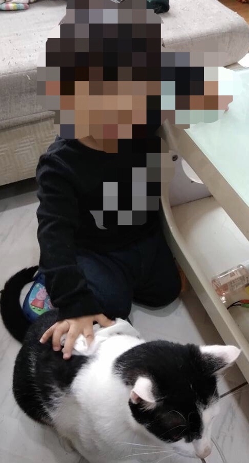 預計生完要去月子中心，貓咪怎麼辦？