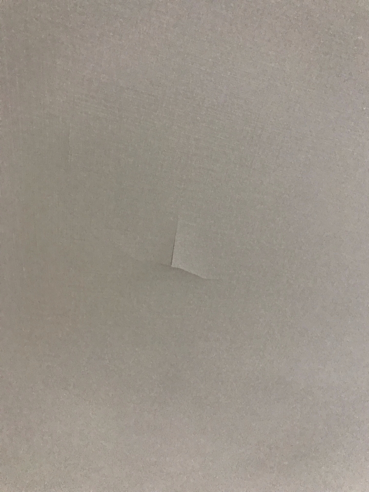 連日大雨,請問這是牆面滲水的情形嗎?