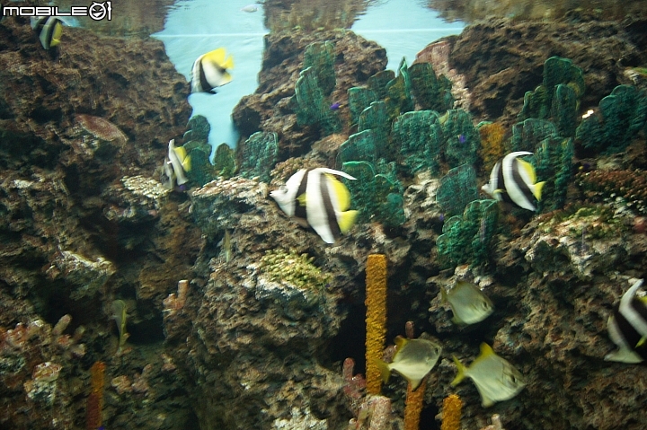 花蓮海洋公園