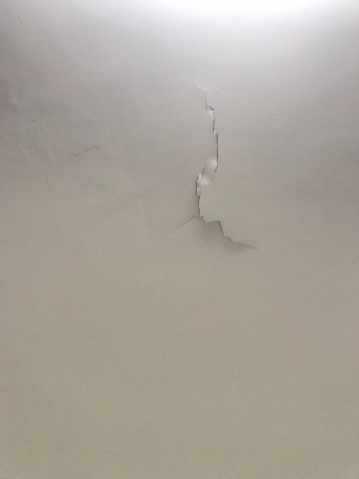連日大雨,請問這是牆面滲水的情形嗎?