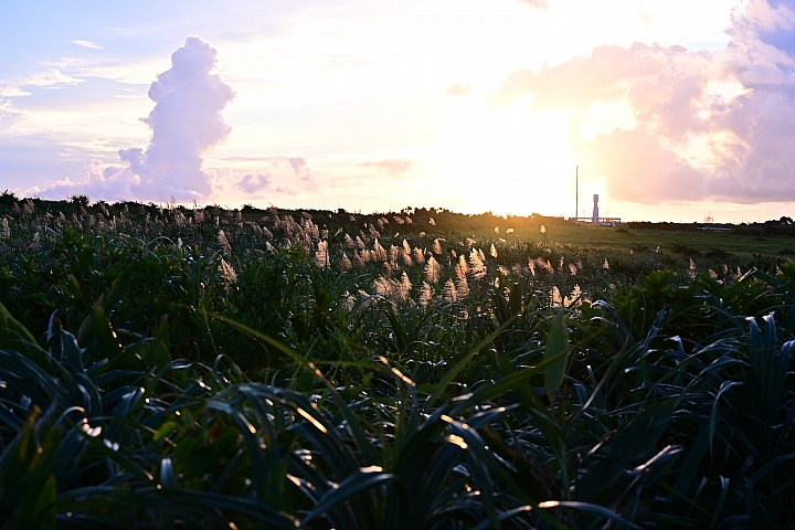 衝浪也可以眼對焦，但要夠近才可以，可惜佳樂水浪不高，還好風景美。