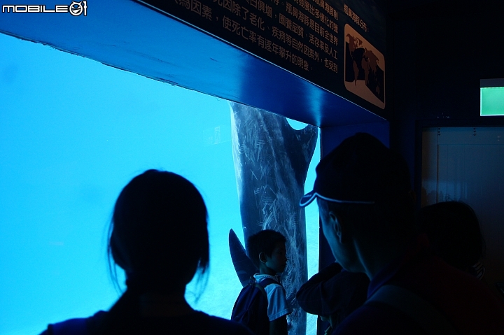 花蓮海洋公園