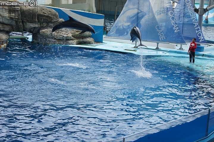 花蓮海洋公園