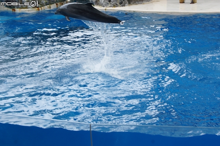 花蓮海洋公園