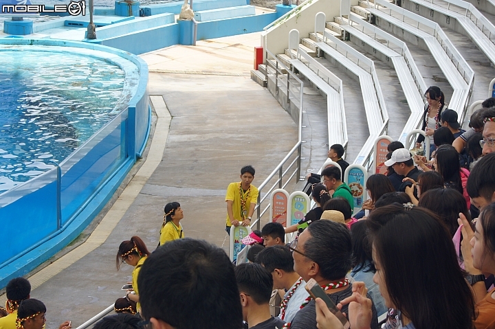 花蓮海洋公園
