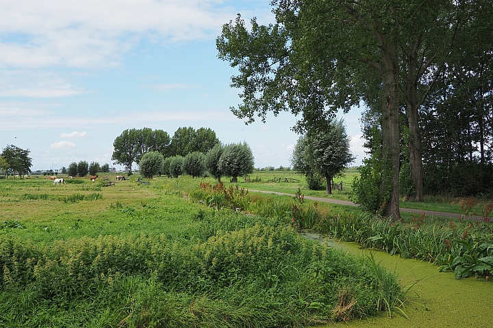 點我看大圖 在荷蘭 騎單車~看風車~遊運河 (圖多)