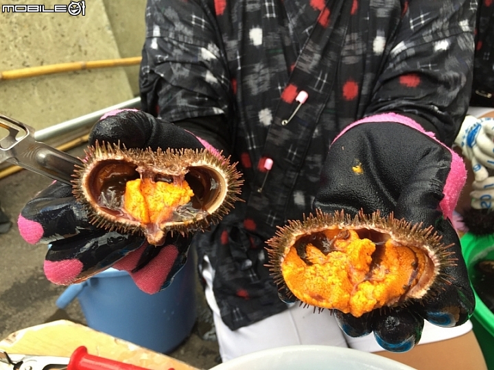 點我看大圖 日本東北 大啖牡蠣、牛舌、海膽!日本三景松島、世界遺產平泉 就靠巴士~仙台松島平泉花卷線