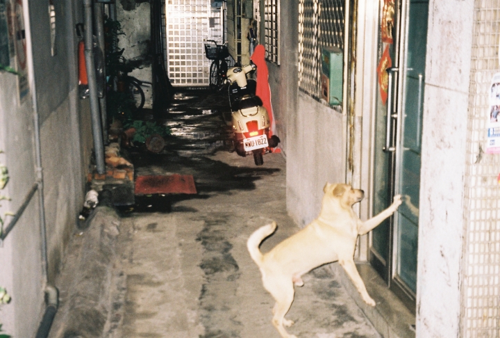 [Stylus ZOOM 140][Big Mini]颱風假[Kodak 200]