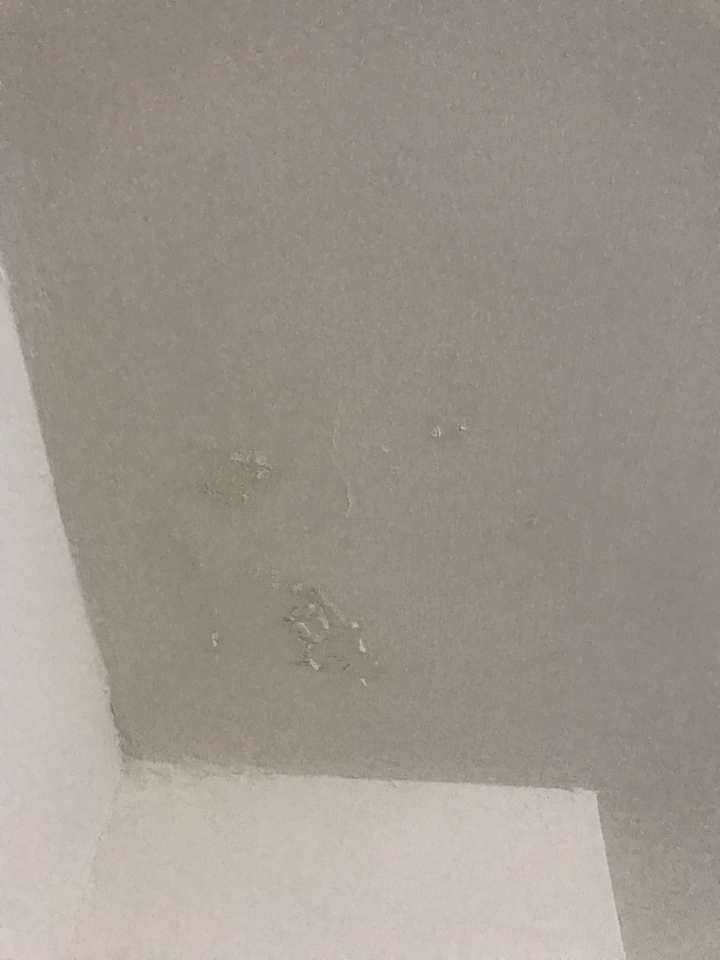 連日大雨,請問這是牆面滲水的情形嗎?