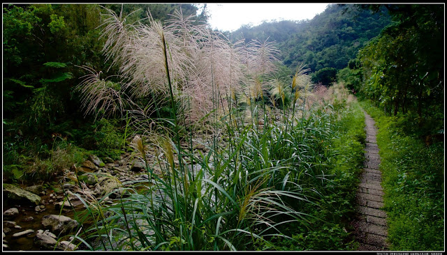 〖帶著父母走步道〗 石碇老街【王氏豆腐】、〖烏塗溪步道〗