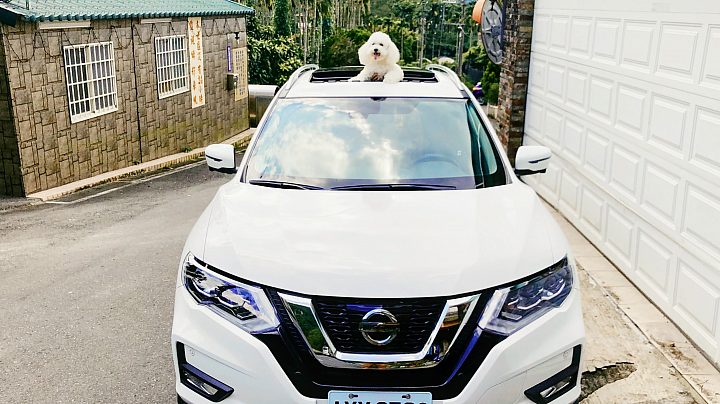 X-TRAIL VS 毛小孩 一起上山去旅行