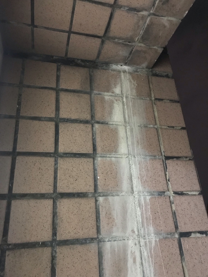 請問這是什麼東西？