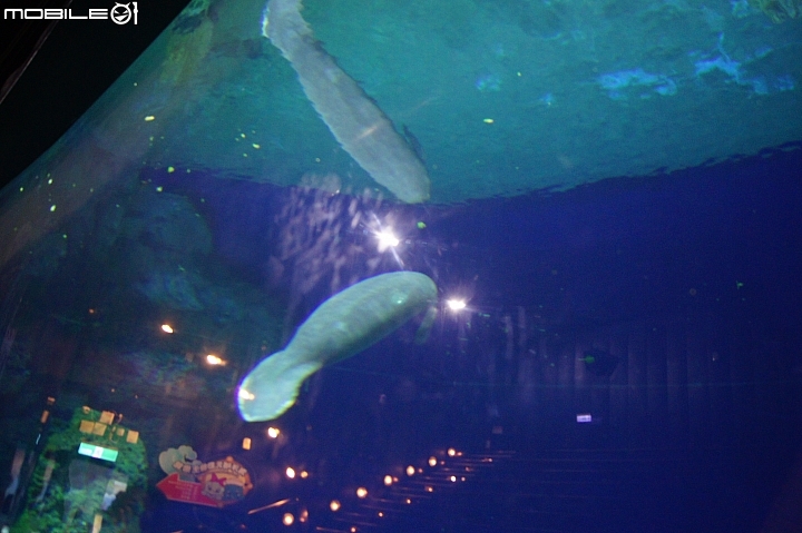花蓮海洋公園