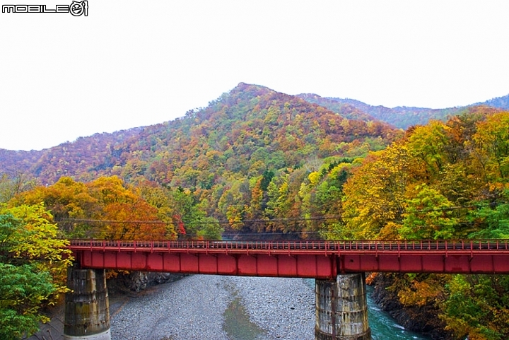 [遊記] 美瑛 全景之路 富良野 周邊 旅遊