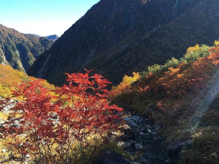 ”流浪者日誌“ - 涸沢、高山紅葉