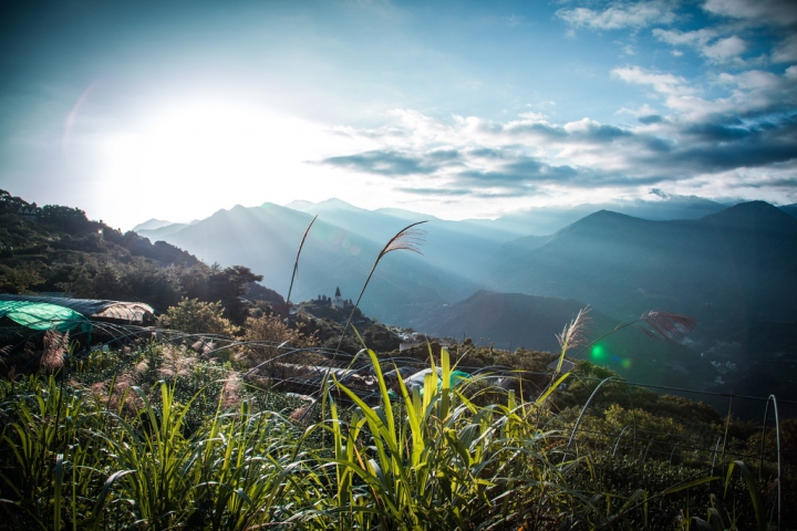 南投ll帶著爸媽旅行趣。明琴清境莊園住一晚。合歡山看高山杜鵑