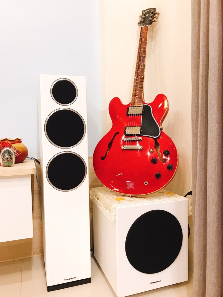 點我看大圖 給男友的驚喜- 英國 Wharfedale diamond230 & D10 / Nad c338 音響組合