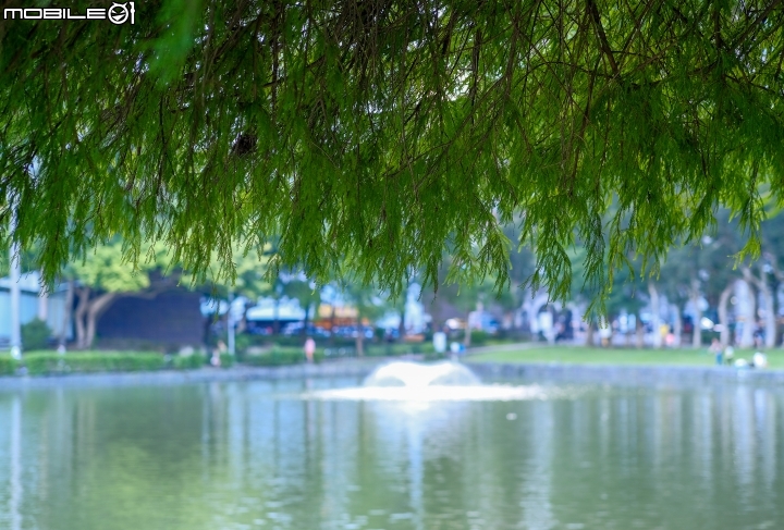 Kamlan 50mm f/1.1 II 使用心得分享
