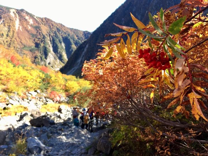 ”流浪者日誌“ - 涸沢、高山紅葉