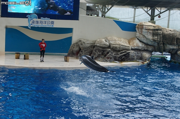 花蓮海洋公園