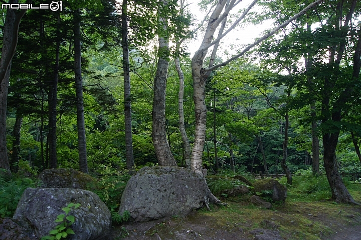 [北海道]銀河、流星瀑布