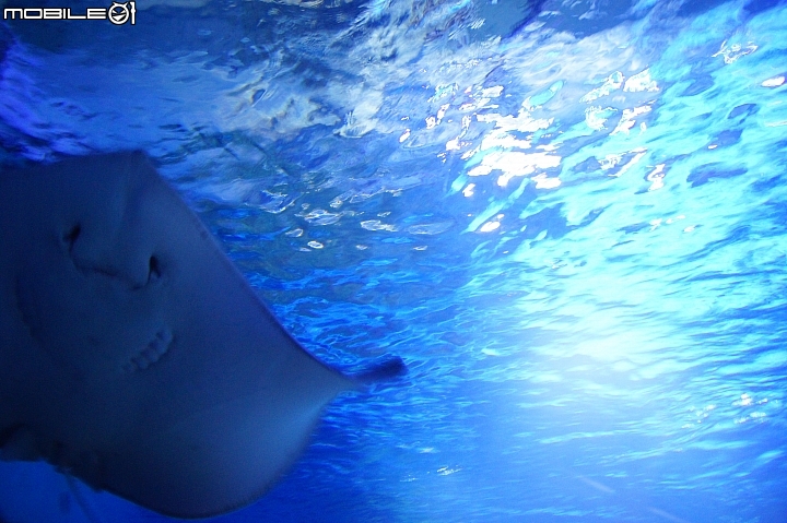 花蓮海洋公園