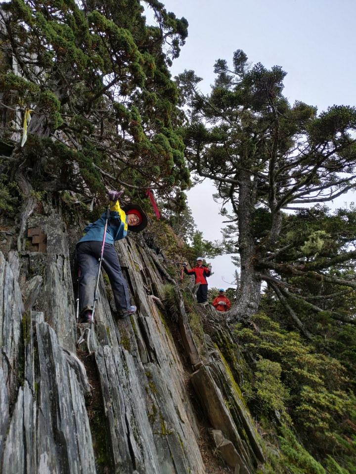 南二段十全十美7日行(2019/7/4~10)