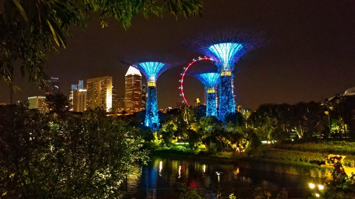 【新加坡Ep15】濱海灣花園必看夢幻超級樹燈光秀!全世界最便宜的米其林餐廳價錢不便宜?|了凡香港油雞飯麵|Gardens by the Bay |Singapore|旅行,路上。