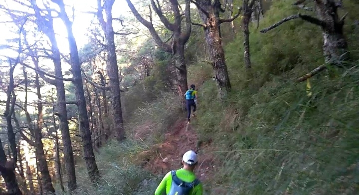 屏風山trail run