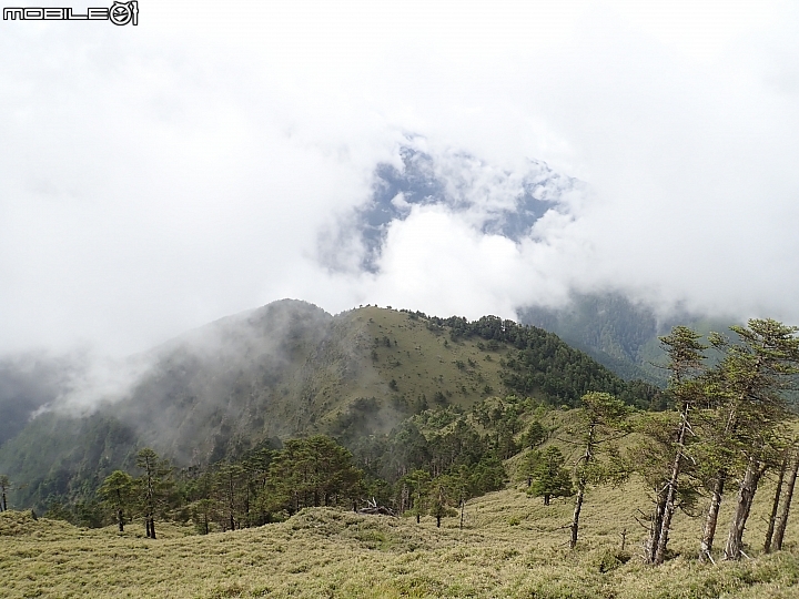 中央山脈大縱走17天(破紀錄)完百旅(904~920)(文長慎入)