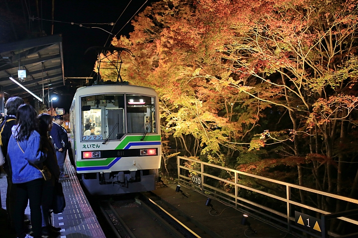 2018京阪神紅葉親子自由行
