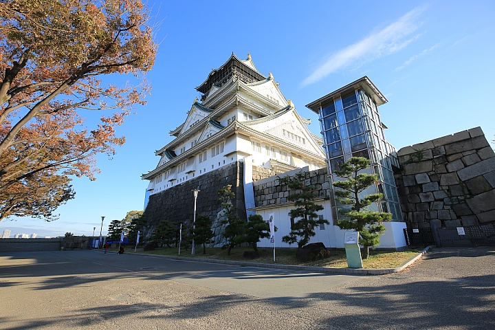 2018京阪神紅葉親子自由行
