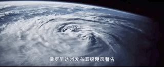 R級驚悚片，膽小者勿入！