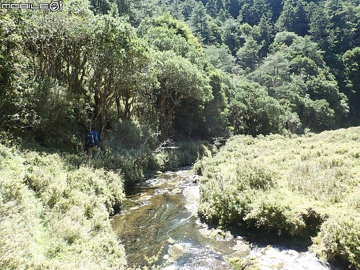 中央山脈大縱走17天(破紀錄)完百旅(904~920)(文長慎入)
