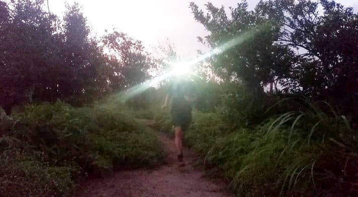 美麗華night trail