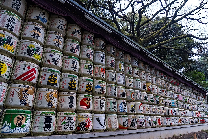 點我看大圖 2019 東京過年 (五天四夜行程分享) 文長圖多