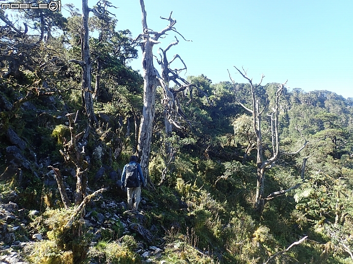 中央山脈大縱走17天(破紀錄)完百旅(904~920)(文長慎入)
